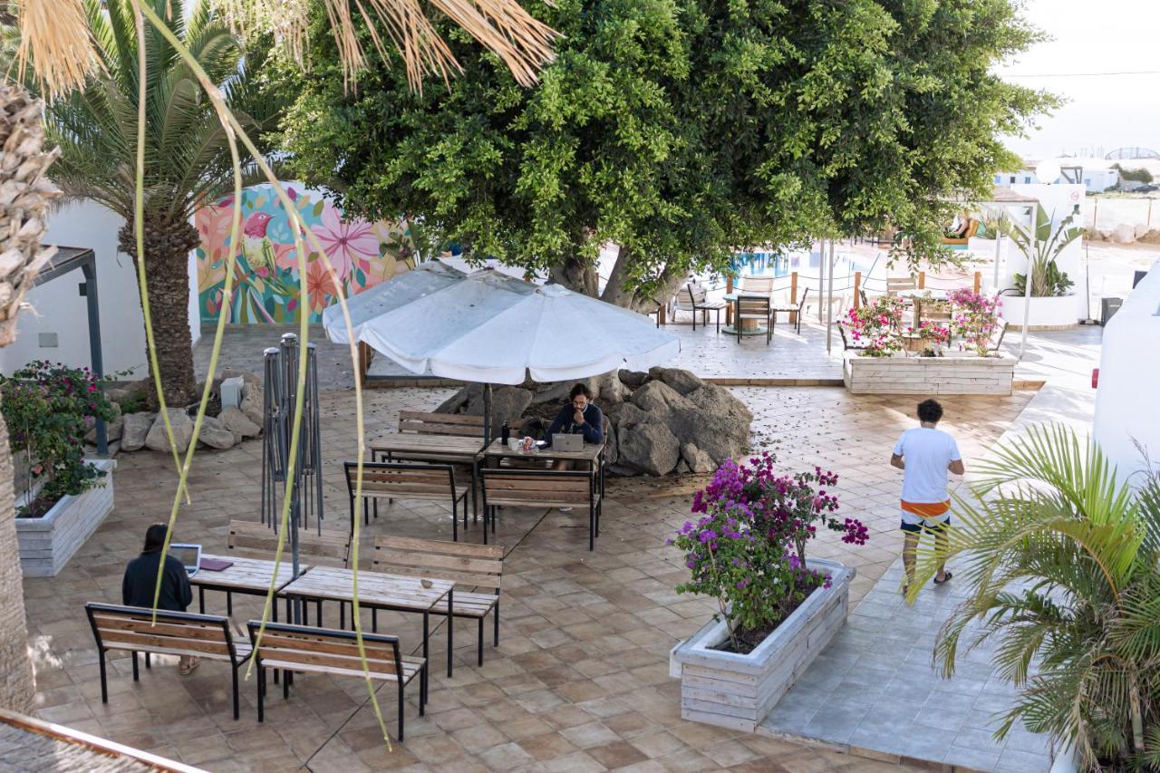 The Tree House Tenerife 厄尔梅达诺 外观 照片