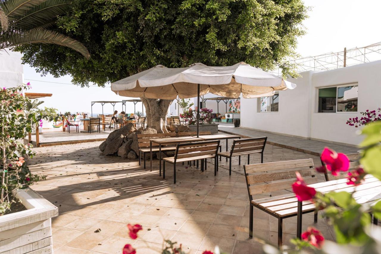 The Tree House Tenerife 厄尔梅达诺 外观 照片